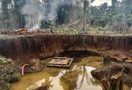 Garimpo desmatou quatro campos de futebol por dia de terras indígenas em 2023, diz Greenpeace