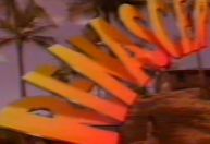 Web resgata chamada com elenco original da novela "Renascer"; assista