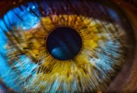 Estudo: espessura da retina pode indicar risco de doenças cardíacas e pulmonares