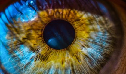 Estudo: espessura da retina pode indicar risco de doenças cardíacas e pulmonares