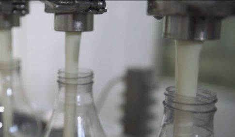 Intolerância à lactose é um dos tipos mais comuns de intolerância alimentar