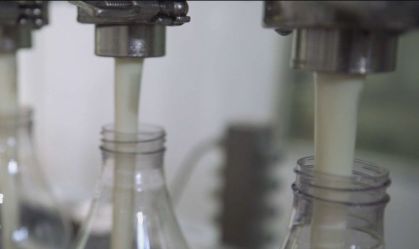 Preço do leite deve subir com impactos das chuvas no RS, aponta Cepea
