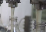 Preço do leite deve subir com impactos das chuvas no RS, aponta Cepea