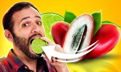 Conheça a fruta que tira o azedo das comidas: fica tudo doce!