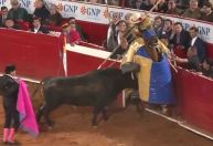 Tribunal federal do México suspende touradas pela segunda vez