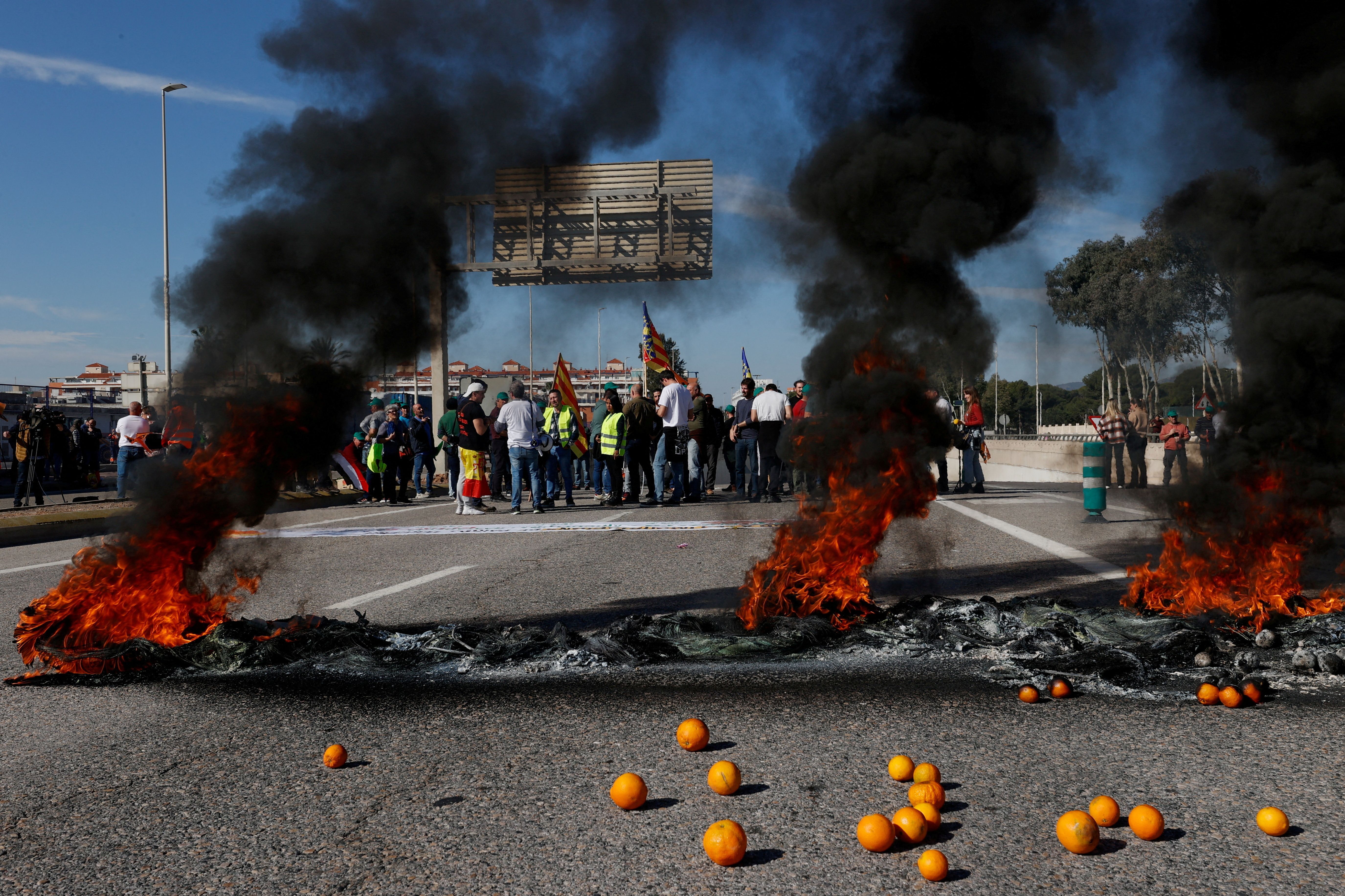 Agricultores espanhóis bloqueiam acesso ao porto de Castellón em protesto contra altos custos, burocracia e competição de países de fora da UE