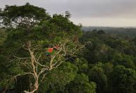 Na ONU, Brasil lança ferramenta contra mudanças climáticas que será adotada por 70 países