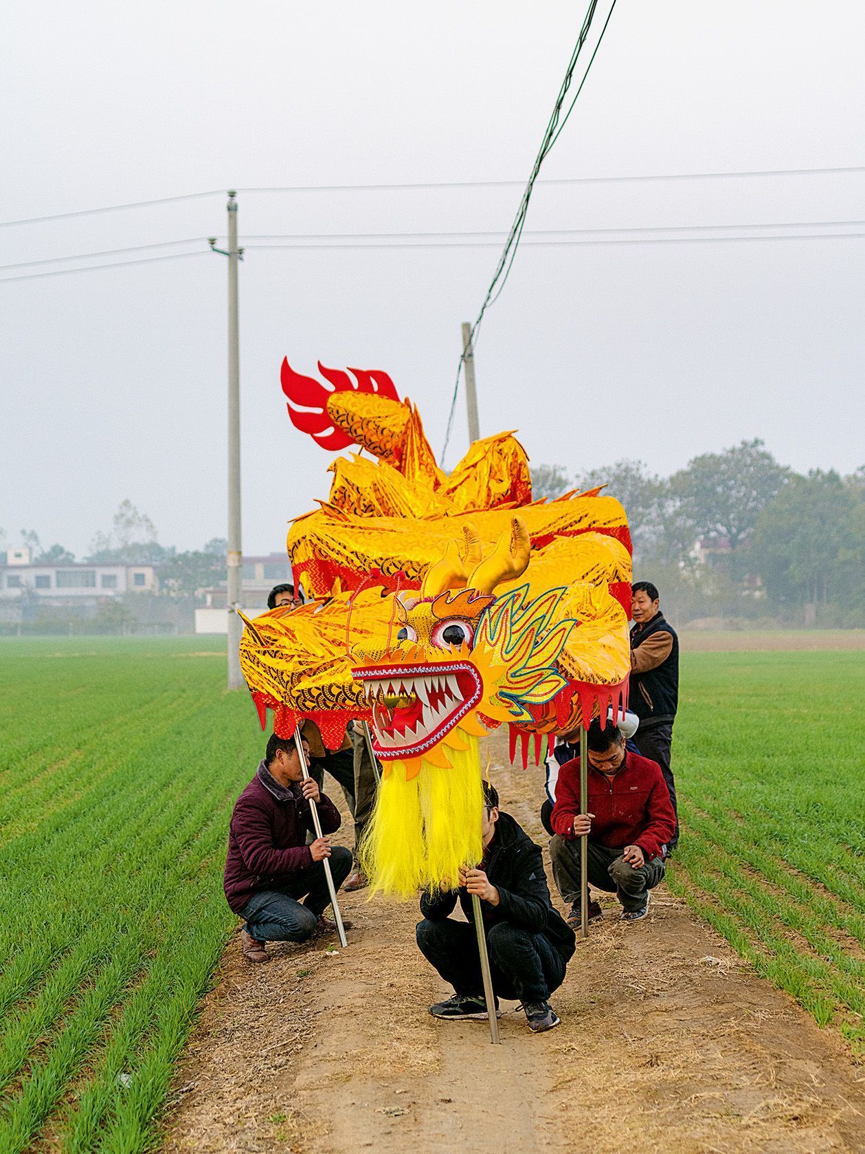 Grupo posa com marionete de dragão dourado em meio à plantação / Zhang Xiao