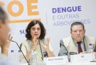 Foco é prevenir mais casos de dengue, diz ministra da Saúde, que descarta emergência nacional