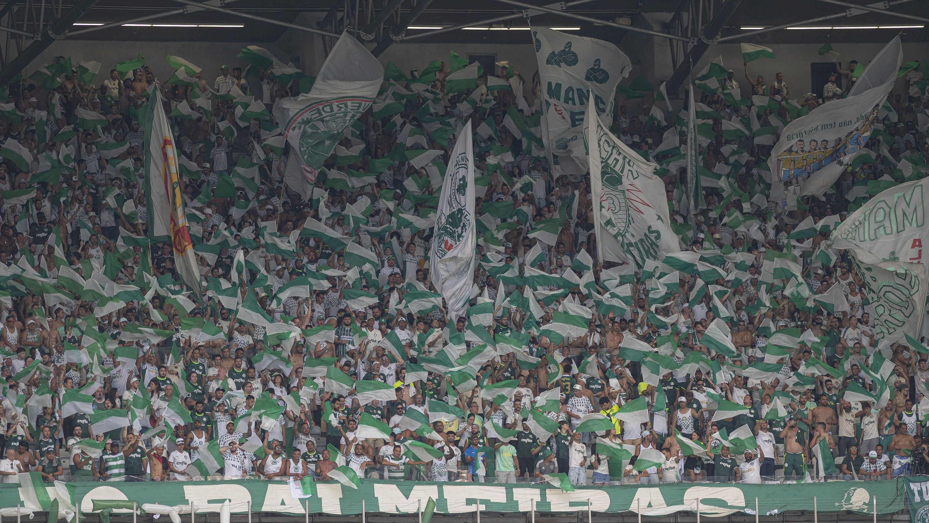 Palmeiras atinge 22,5 milhões de seguidores e ultrapassa o São Paulo | CNN  Brasil