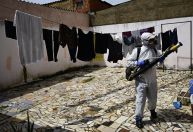 Rio de Janeiro anuncia fim da epidemia de dengue na cidade