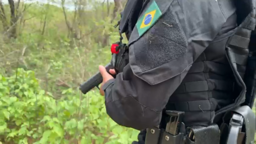 Buscas mobilizam 100 agentes da Polícia Federal (PF), 100 agentes da Polícia Rodoviária Federal (PRF) e outros 100 agentes de forças locais (Polícia Militar e Civil).