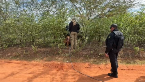 Cães farejadores ajudam policias na recaputura de Rogério da Silva Mendonça (vulgo Querubim, Chapa ou Cabeça de Martelo ou Martelo); e Deibson Cabral Nascimento (conhecido como Tatu, Deisinho ou Deicinho).