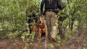 Cães farejadores ajudam policias na recaputura de Rogério da Silva Mendonça (vulgo Querubim, Chapa ou Cabeça de Martelo ou Martelo); e Deibson Cabral Nascimento (conhecido como Tatu, Deisinho ou Deicinho).