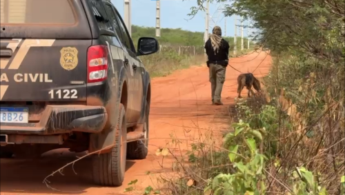 Buscas mobilizam 100 agentes da Polícia Federal (PF), 100 agentes da Polícia Rodoviária Federal (PRF) e outros 100 agentes de forças locais (Polícia Militar e Civil).