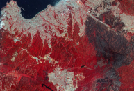 Número de mortos em incêndios florestais no Chile sobe para 131