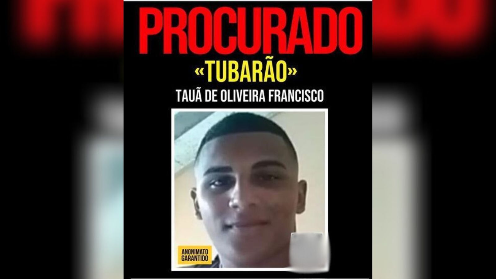 Tubarão