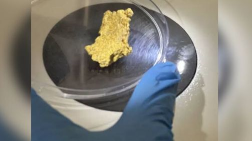Pepita de ouro foi encontrada em casa do presidente do PL, Valdemar Costa Neto