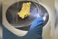 Entenda como a PF identificou pepita de ouro encontrada com Valdemar Costa Neto