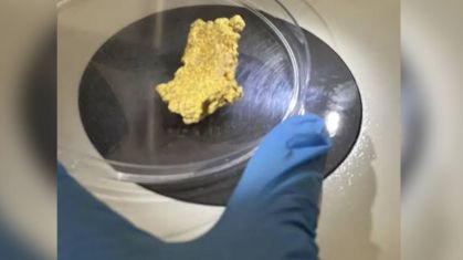 Pepita de ouro foi encontrada em casa do presidente do PL, Valdemar Costa Neto
