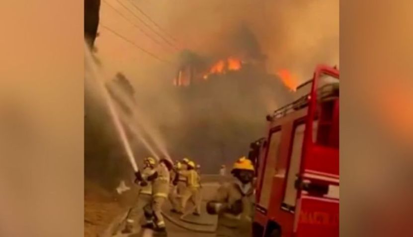 Incêndios florestais na região de Valparaíso, no Chile / Reprodução