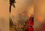 Número de mortos em incêndios florestais no Chile sobe para 46