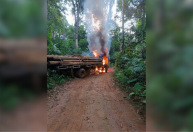 Operação da PF combate extração de diamantes em terras indígenas