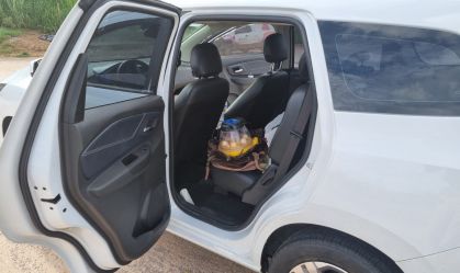 PRF apreende mulheres que tentavam fugir do país com ovos de aves silvestres