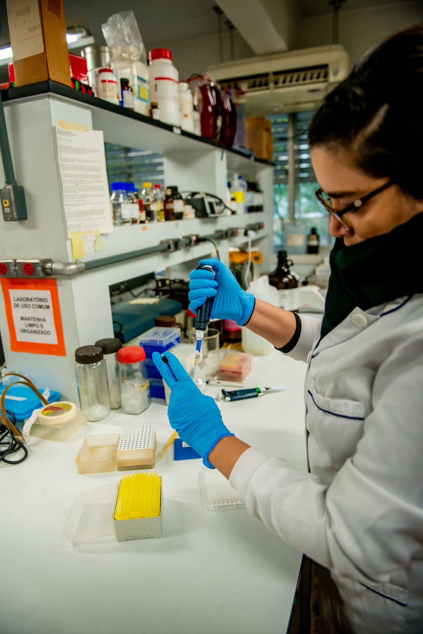 Pesquisadora Maritza Araújo Todo Bom verifica quantidade de RBD do biossensor / Marcos Solivan/Sucom UFPR
