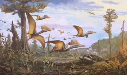 Nova espécie de pterossauro é descoberta na Escócia