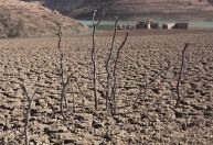 Região espanhola da Catalunha declara emergência por causa da seca