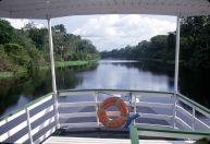 Pesquisadores fazem expedição em busca de peixes-elétricos na Amazônia