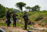 Pará tem 67% de redução em alertas de desmatamento em 15 municípios