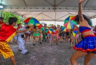 Suvaco da Asa leva Carnaval de Pernambuco a Brasília