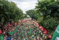 Pré-carnaval: 40% dos brasileiros pretendem contratar algum serviço