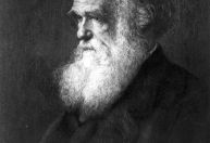 Pesquisadores revelam biblioteca perdida de Charles Darwin pela primeira vez