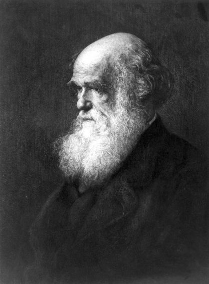 Retrado de Charles Darwin em pintura