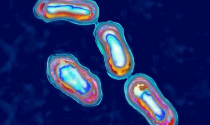 Como vulcão em erupção pode ter levado à pandemia de Peste Negra