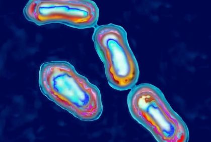 Como vulcão em erupção pode ter levado à pandemia de Peste Negra