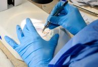 Projeto de combate a doenças transmitidas por mosquitos será testado em MG