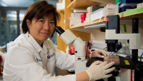 Médica Catherine Wu sorrindo para uma foto com um microscópio em sua frente