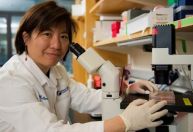 Conheça Catherine Wu, a médica por trás do grande avanço no tratamento do câncer