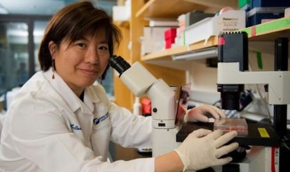 Conheça Catherine Wu, a médica por trás do grande avanço no tratamento do câncer