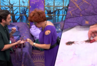 Marcos Veras e Nany People assustam Davi com barata de brinquedo no BBB24