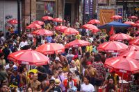Desfile das Campeãs de SP: A elite do samba volta ao Sambódromo