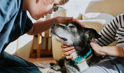 Quanto tempo seu cachorro vai viver? Meça seu focinho