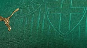 Camisa 1 do Palmeiras para a temporada 2024. 