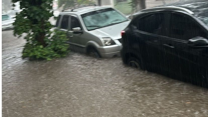 Alagamento em rua na Zona Norte de São Paulo / Reprodução