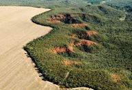 Cerrado perde em janeiro área equivalente à de Maceió