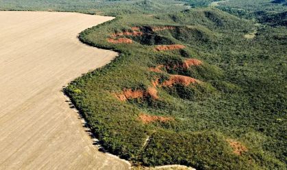 Cerrado perde em janeiro área equivalente à de Maceió